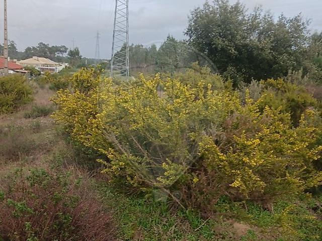 Terreno à venda em Castelo Sesimbra, Sesimbra RE/MAX Portugal