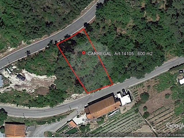 Terreno à venda em Castro Daire, Castro Daire RE/MAX Portugal