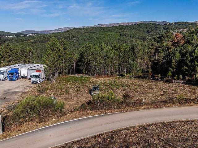 Terreno à venda em Castro Daire, Castro Daire RE/MAX Portugal