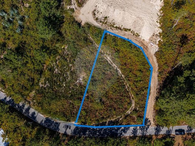 Terreno à venda em Castro Daire, Castro Daire RE/MAX Portugal