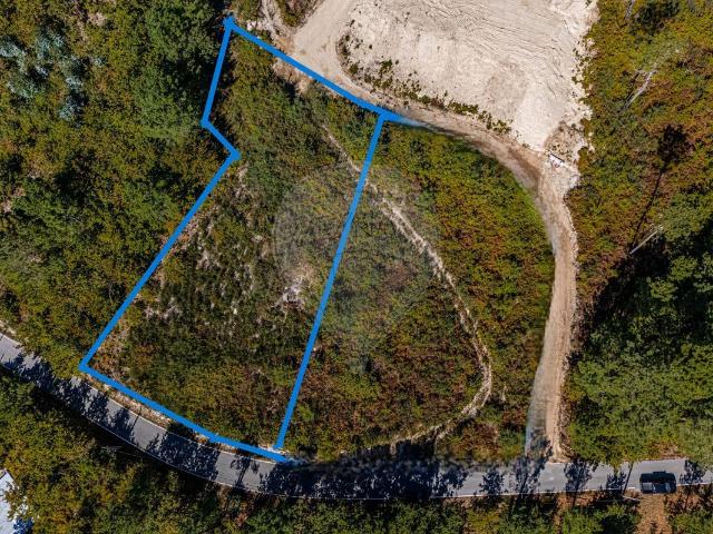 Terreno à venda em Castro Daire, Castro Daire RE/MAX Portugal