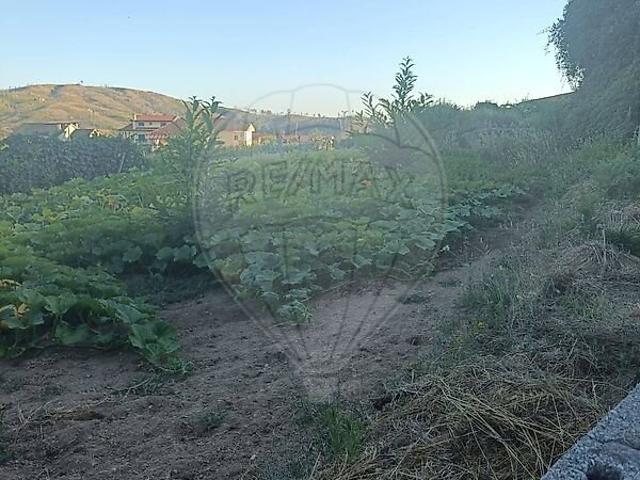 Terreno à venda em Castro Daire, Castro Daire RE/MAX Portugal