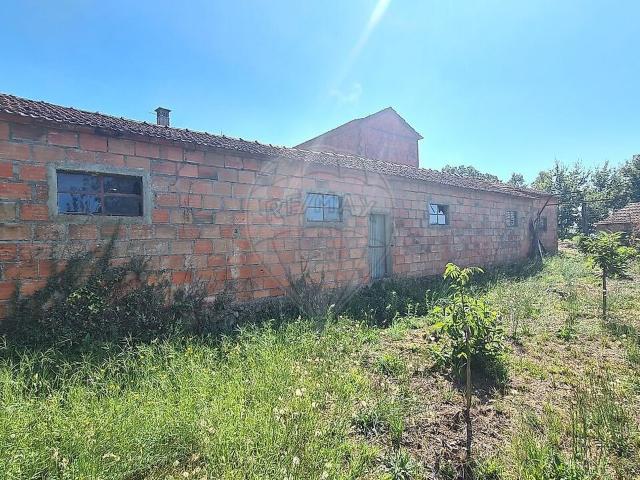 Terreno à venda em Cedrim e Paradela, Sever do Vouga RE/MAX Portugal