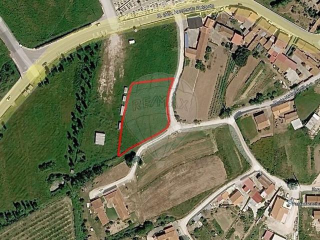 Terreno à venda em Cela, Alcobaça RE/MAX Portugal