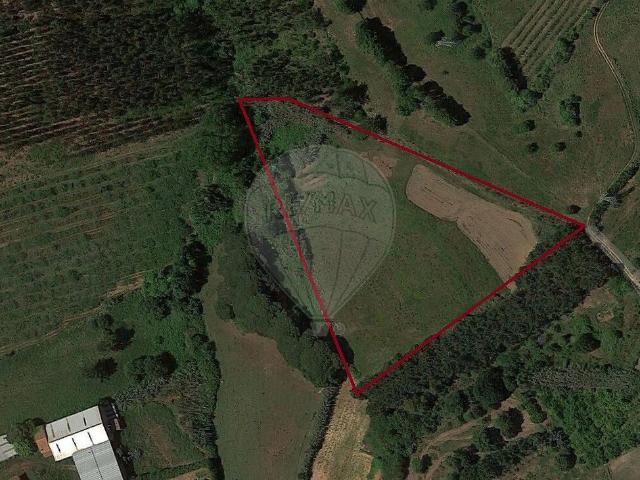 Terreno à venda em Cela, Alcobaça RE/MAX Portugal