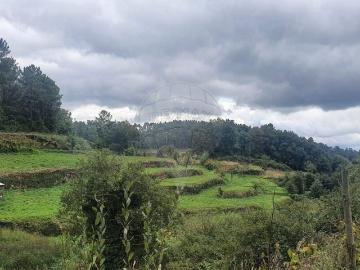 Terreno à venda em Celorico de Basto