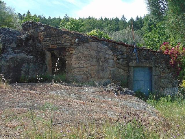 Terreno à venda em Celorico São Pedro e Santa Maria e Vila Boa do Mondego, Celorico da Beira RE/MAX Portugal