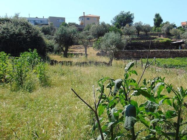 Terreno à venda em Celorico São Pedro e Santa Maria e Vila Boa do Mondego, Celorico da Beira RE/MAX Portugal