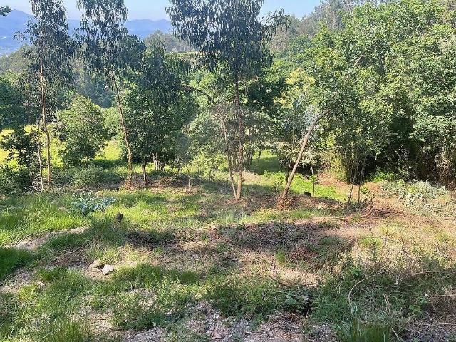Terreno à venda em Cendufe, Arcos de Valdevez RE/MAX Portugal
