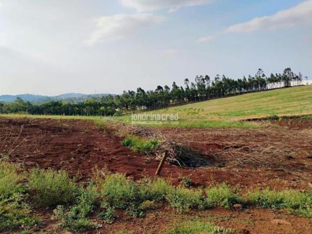 Terreno à Venda em Centro, Jataizinho PR