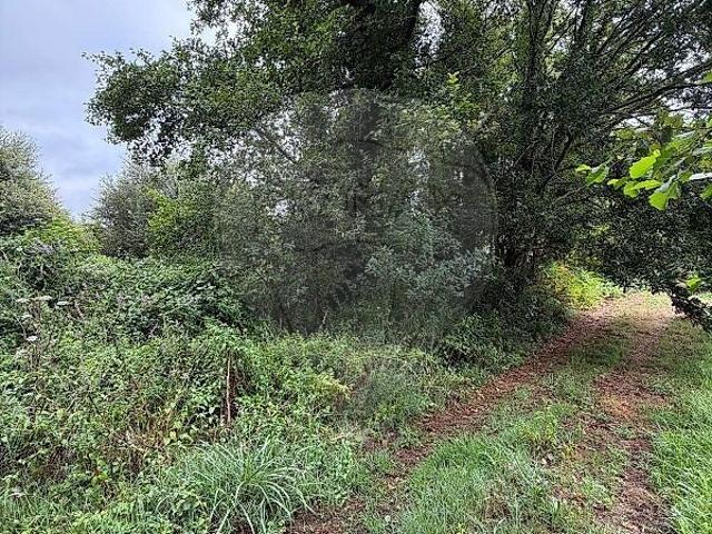 Terreno à venda em Cerdal, Valença RE/MAX Portugal