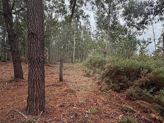 Terreno à venda em Cerdal, Valença RE/MAX Portugal