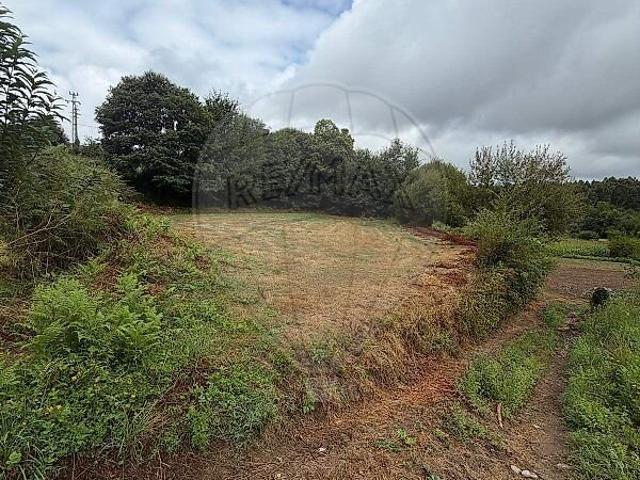 Terreno à venda em Cerdal, Valença RE/MAX Portugal