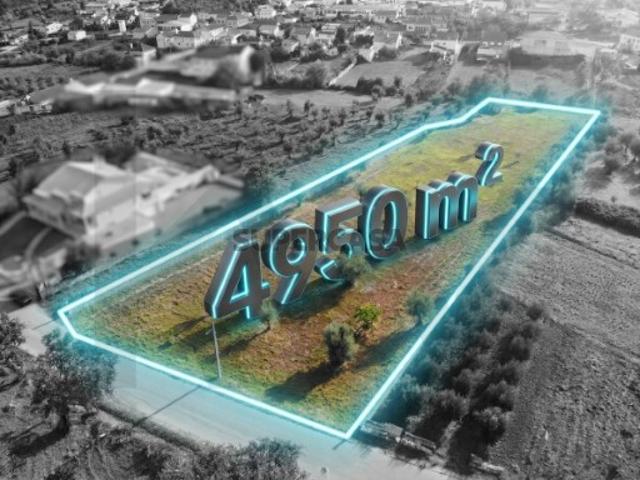 Terreno à Venda em Chão de Couce 4.950 m² com Potencial para Construção de Moradias