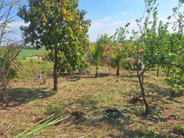 terreno à venda em Chácara Cruzeiro do Sul
