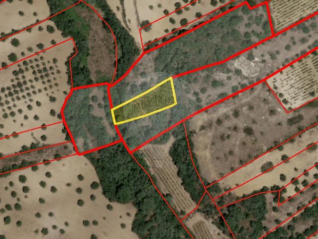 Terreno à venda em Chancelaria, Torres Novas RE/MAX Portugal
