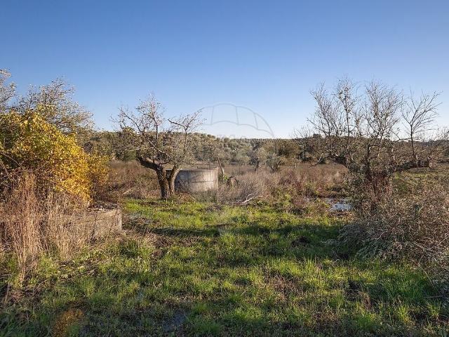 Terreno à venda em Chancelaria, Torres Novas RE/MAX Portugal