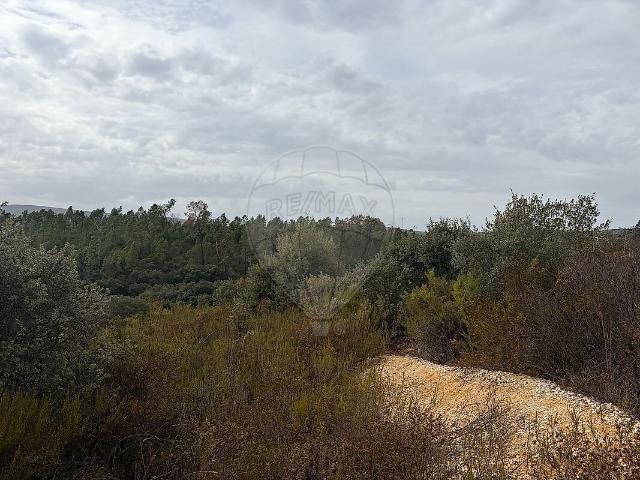 Terreno à venda em Chancelaria, Torres Novas RE/MAX Portugal