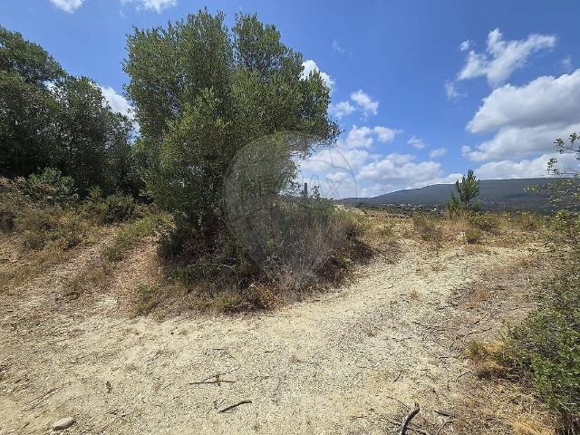 Terreno à venda em Chancelaria, Torres Novas RE/MAX Portugal