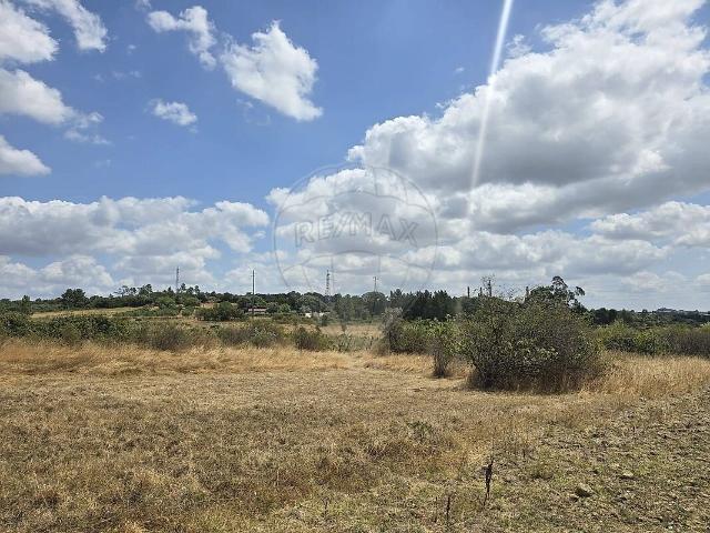 Terreno à venda em Chancelaria, Torres Novas RE/MAX Portugal