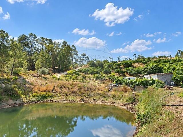Terreno à venda em Chancelaria, Torres Novas RE/MAX Portugal
