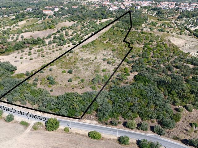 Terreno à venda em Chancelaria, Torres Novas RE/MAX Portugal