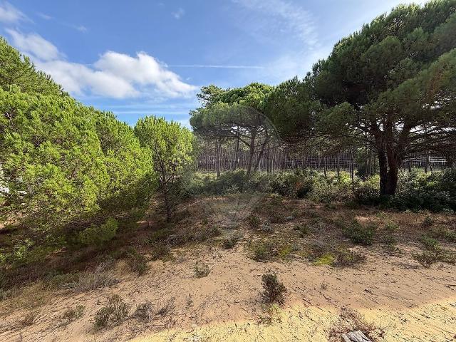 Terreno à venda em Charneca de Caparica e Sobreda, Almada RE/MAX Portugal