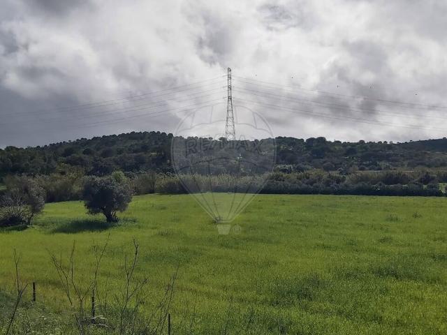 Terreno à venda em Charrua