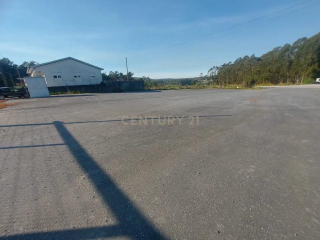 Terreno à Venda em Chorente, Barcelos com 2000m2– Ideal para Construção ou Investimento!
