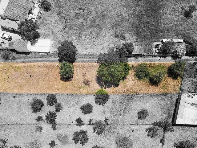 Terreno à venda em Ciborro, Montemor o Novo RE/MAX Portugal