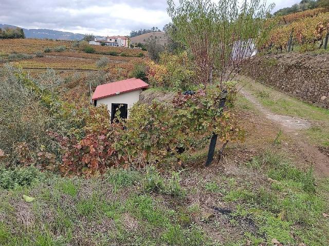 Terreno à venda em Cidadelhe, Mesão Frio RE/MAX Portugal