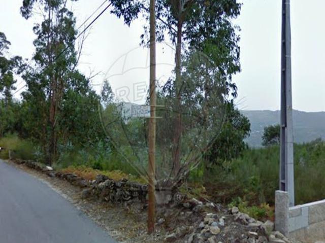 Terreno à venda em Cinfães