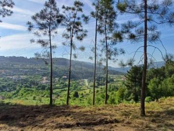 Terreno à venda em Cinfães