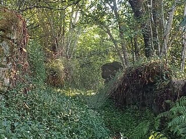 Terreno à venda em Cinfães, Cinfães RE/MAX Portugal
