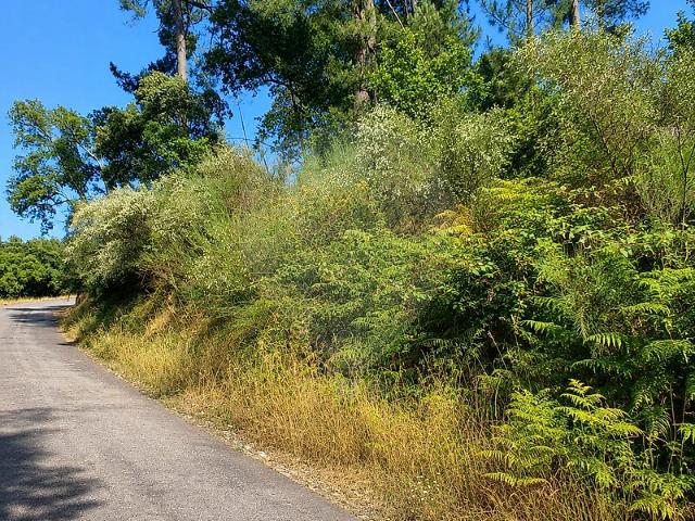 Terreno à venda em Cinfães, Cinfães RE/MAX Portugal