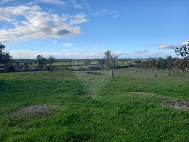 Terreno à venda em Crato