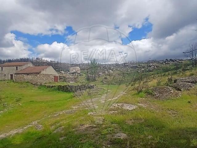 Terreno à venda em Cunha, Sernancelhe RE/MAX Portugal