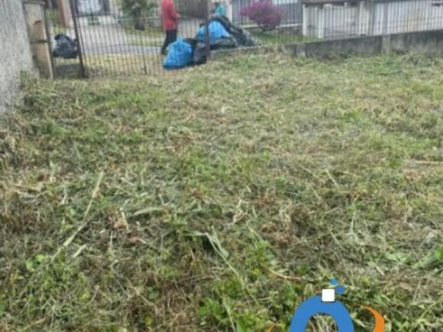 Terreno à venda em Curitiba PR, Bairro Alto: 500,00m² de área para construir o seu sonho!