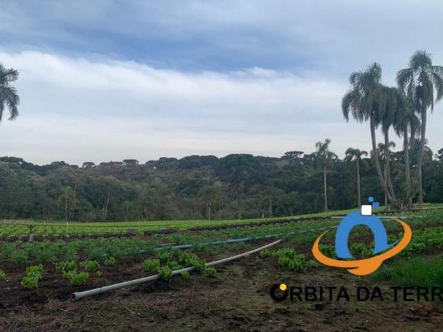 Terreno à venda em Curitiba PR, bairro Umbará, com 21.000,00 m² de área Imperdível oportunidade no