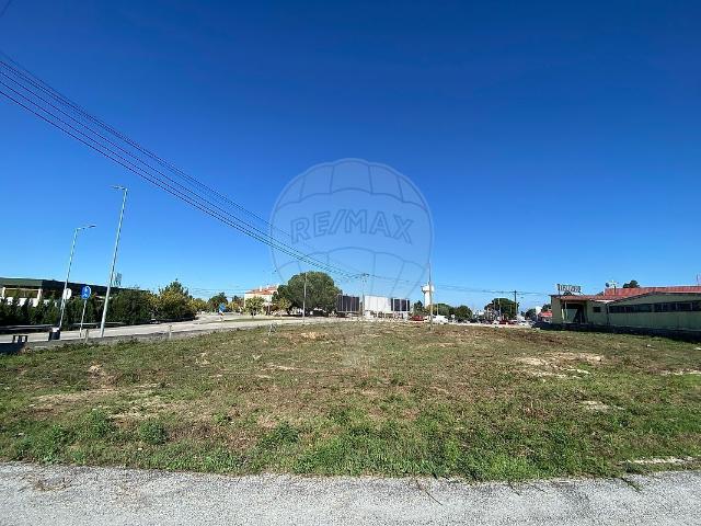 Terreno à venda em Currelos, Papízios e Sobral, Carregal do Sal RE/MAX Portugal