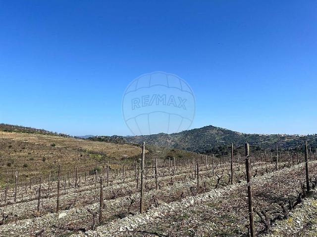 Terreno à venda em Custóias, Vila Nova de Foz Côa RE/MAX Portugal