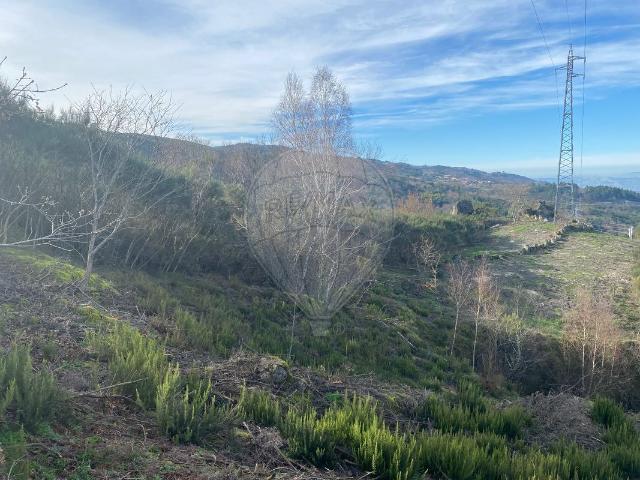 Terreno à venda em Amarante