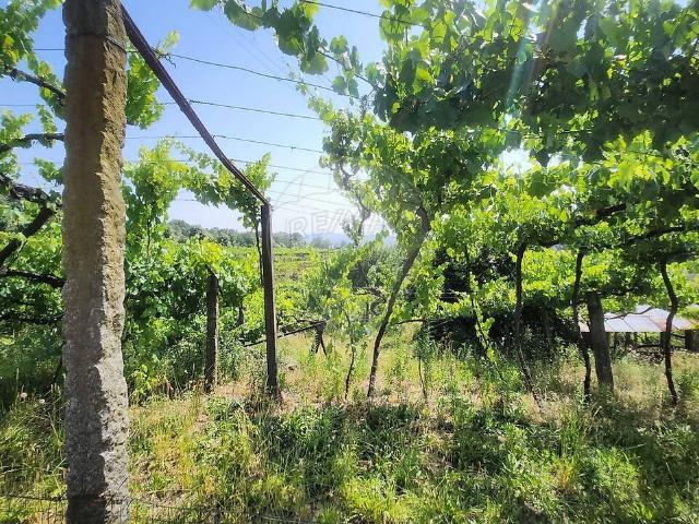 Terreno à venda em Amarante