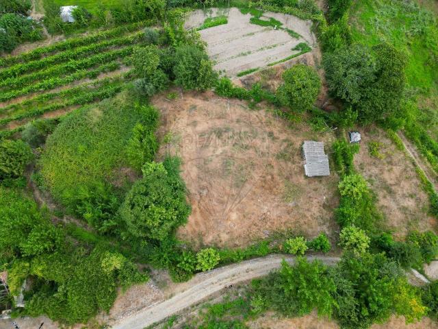 Terreno à venda em Amarante