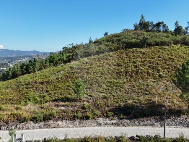 Terreno à venda em Amarante