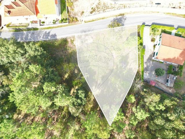 Terreno à venda em Amarante