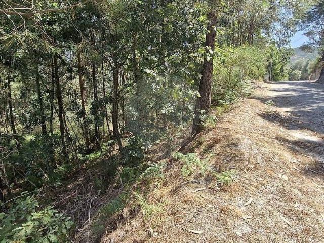 Terreno à venda em Amarante