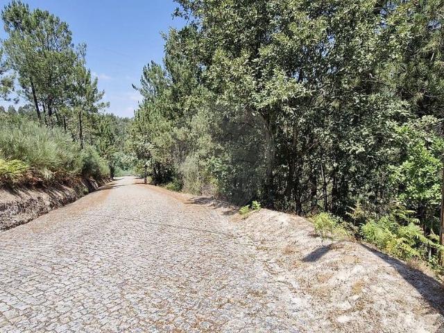 Terreno à venda em Amarante