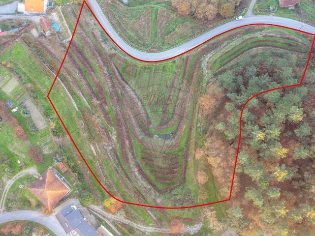 Terreno à venda em Amarante