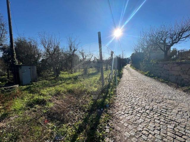 Terreno à venda em Amarante
